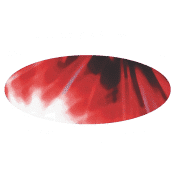 Kimbolton Fireworks