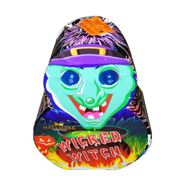 Wicked Witch - Image 2
