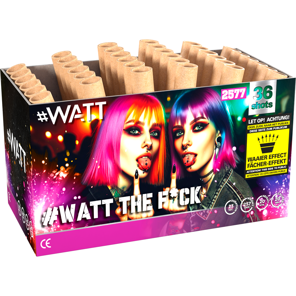 Lesli 2577 #Watt The F*ck firework